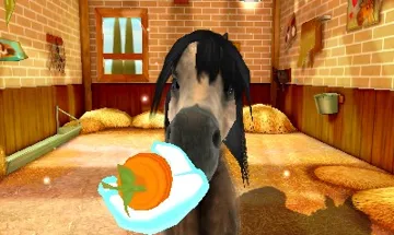 My Foal 3D (Europe)(En,Fr,Ge,It,Es,Nl) screen shot game playing